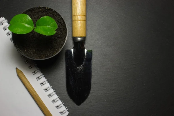 Green sprout and trowel on a dark background — Stock Photo, Image