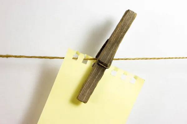 Blank sheet paper on wooden clothespin — Stock Photo, Image