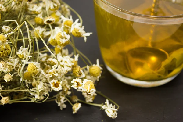 Tee-Bouquet aus getrockneter Kamille — Stockfoto