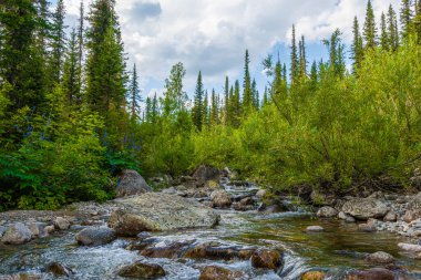 Güz ormanları arasında kristal berrak suyla güzel bir nehir