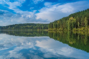 Gölün aynasındaki ağaçların yansıması