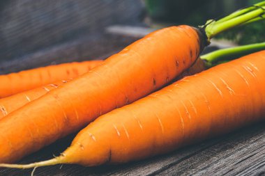 Ahşap mutfak masasında yeşil yapraklı taze havuçlar. Vejetaryen çiftliğinde sebze yetiştiriyor.