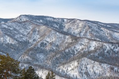 Orman ve karla kaplı yumuşak tepeler, kış dağı vadisi