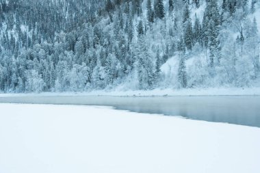 Kış nehrinin yanındaki karanlık kar ormanı. Göl kıyısı buz ve buzla kaplı. Soğuk yüzünden suyun üzerinde hafif buz gibi sis.
