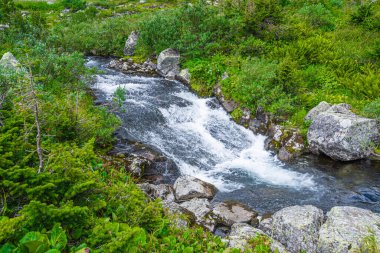 Dağ vadisinde, çimenli kıyıların arasında hızlı bir dere var. Yeşil çayırda küçük şelale.