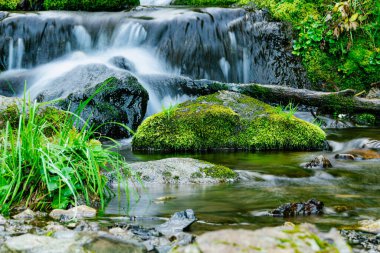 Yağmur ormanlarındaki nehir üzerindeki şelalenin atmosferik görüntüsü. Kayalar ve yeşil yosunlar arasında hızlı akarsu.