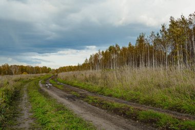 Toprak yollu sonbahar manzarası. Sonbahar tarlasında kırsal yol bulutlu gökyüzünün altında.