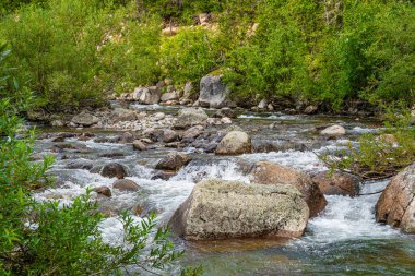 Güz ormanları arasında kristal berrak suyla güzel bir nehir