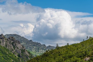 Dağ vadisi ve ufukta ağaçlar var. Yazın vahşi kayalıklarda seyahat et. Güneşli bir günde mavi gökyüzüne karşı dağ manzarası