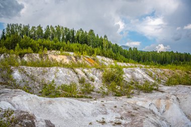 Terk edilmiş pudra ocağı ağaçlar ve çimlerle kaplanmış.