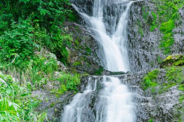 Yağmur ormanlarındaki nehir üzerindeki şelalenin atmosferik görüntüsü. Kayalar ve yeşil yosunlar arasında hızlı akarsu.