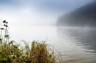 Gölün yüzeyinde sis var. Nehirde sabah bulanıklığı