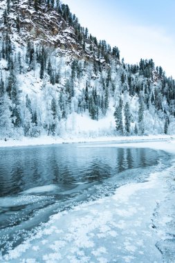 Karlı ormanlı gölün buzlu kıyısı. Soğuk hava, soğuk hava yüzünden donmuş nehir yatağı.
