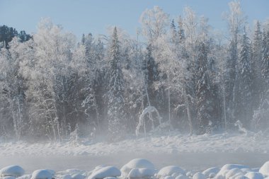 Sisli yüzeyi olan kışın manzarası. Nehir kıyısındaki kayalar ve ağaçlar karla kaplı..