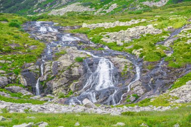 Güz ormanları arasında kristal berrak suyla güzel bir nehir