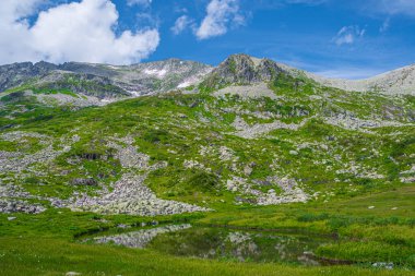 Mavi gökyüzünün altında kar ve taş yerleşimli kaya sırtı. Dağ vadisine yaz gezisi. Atmosferik alp manzarası yeşil çimenli taşlı çayır.