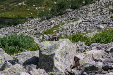 Kaya yığını, bölgedeki oryantasyon için taş işaretleri. Dağ vadisinde seyahat et. Doğada meditasyon için taşlar tepesi.