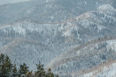 Orman ve karla kaplı yumuşak tepeler, kış dağı vadisi