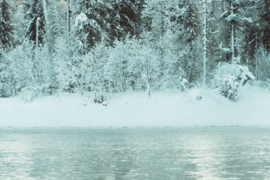 Kış nehrinin yanındaki karanlık kar ormanı. Göl kıyısı buz ve buzla kaplı. Soğuk yüzünden suyun üzerinde hafif buz gibi sis.