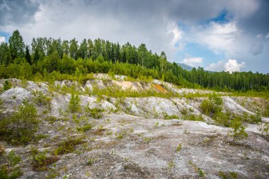 Terk edilmiş pudra ocağı ağaçlar ve çimlerle kaplanmış.