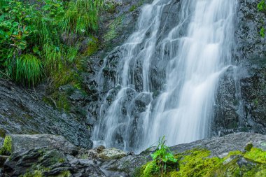 Yağmur ormanlarındaki nehir üzerindeki şelalenin atmosferik görüntüsü. Kayalar ve yeşil yosunlar arasında hızlı akarsu.