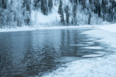 Karlı ormanlı gölün buzlu kıyısı. Soğuk hava, soğuk hava yüzünden donmuş nehir yatağı.