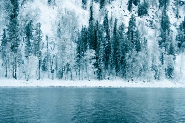 Kış nehrinin yanındaki karanlık kar ormanı. Göl kıyısı buz ve buzla kaplı. Soğuk yüzünden suyun üzerinde hafif buz gibi sis.