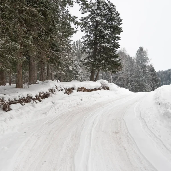 Camino Campo Cubierto Nieve Bosque Invierno — Foto de Stock