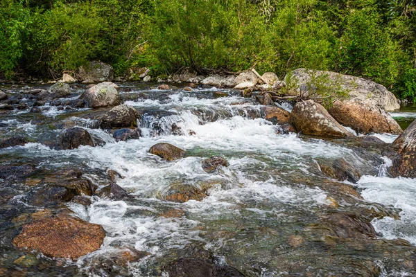 滝の森の中に透き通った水を持つ美しい川 — ストック写真