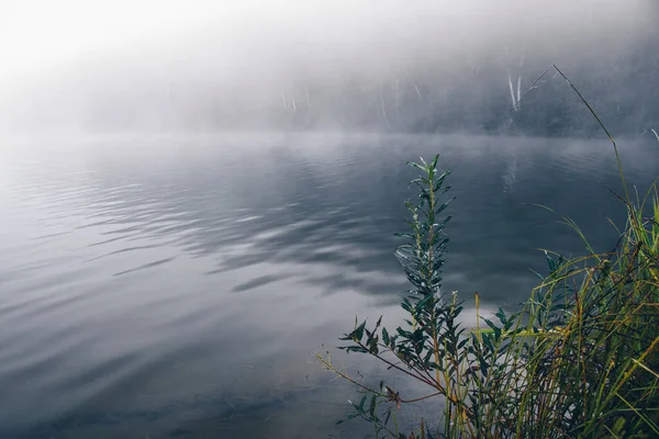 Niebla Sobre Superficie Del Agua Lago Neblina Mañana Río — Foto de Stock