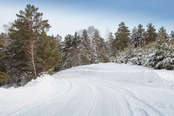 Camino Nieve Bosque Pinos Invierno Hielo Tormenta Nieve Camino Rural — Foto de Stock