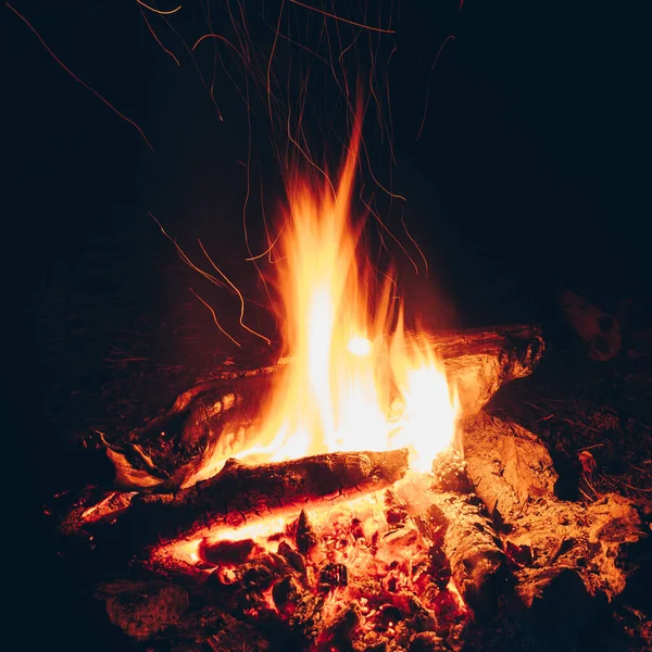 Ahşap Ateşte Yanıyor Geceleri Çalı Çırpı Turizm Ateşi Sıcaklık Işık — Stok fotoğraf