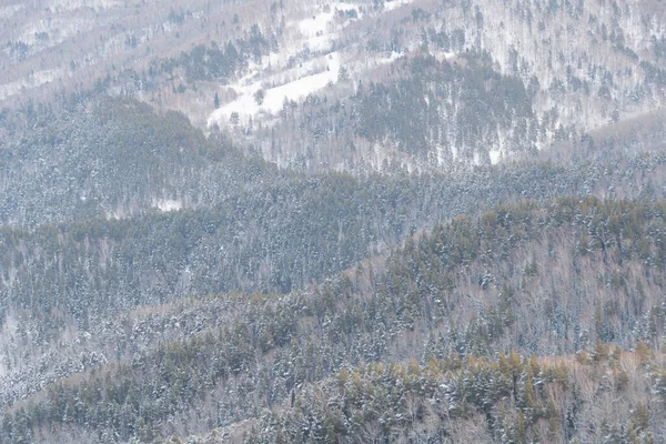 Нежные Холмы Покрытые Лесом Снегом Зимняя Горная Долина — стоковое фото