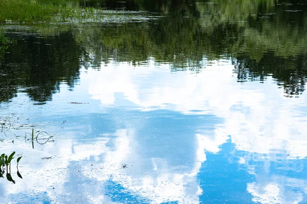 Отражение Зеленых Деревьев Голубого Неба Облаками Зеркальной Поверхности Озера — стоковое фото