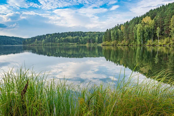 Odbicie Drzew Lustrze Jeziora — Zdjęcie stockowe