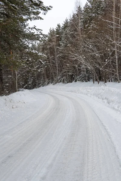 Camino Nieve Bosque Pinos Invierno Hielo Tormenta Nieve Camino Rural — Foto de Stock