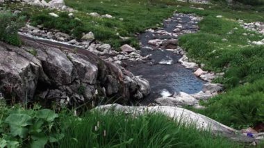 Dağın yeşil vadisine akan dere