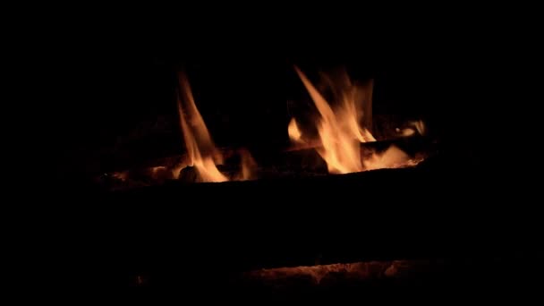 Nocny ogień z kłód i węglanów płonie w ciemności — Wideo stockowe