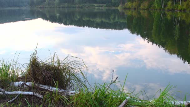 湖の穏やかな表面に雲と青空の反射。池のほとりにある緑の草 — ストック動画