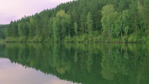 Bosque verde en la orilla del lago se refleja en el agua — Vídeos de Stock