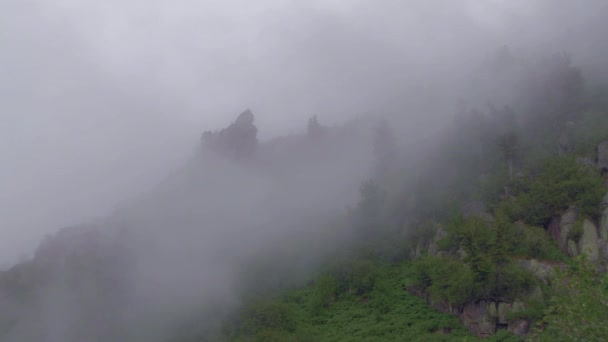 浓雾沿着山岗的斜坡爬行，山岗上有针叶林和岩石 — 图库视频影像