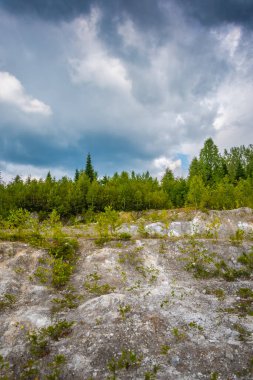 Terk edilmiş pudra ocağı ağaçlar ve çimlerle kaplanmış.