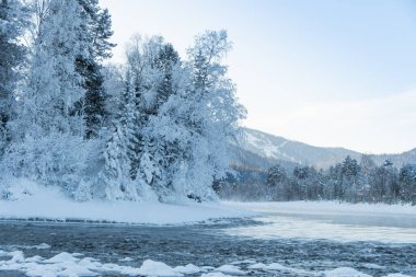 Kış nehrinin yanındaki karanlık kar ormanı. Göl kıyısı buz ve buzla kaplı. Soğuk yüzünden suyun üzerinde hafif buz gibi sis.