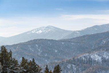 Yumuşak tepeler kar ormanlarıyla kaplıdır. Kış günü dağ vadisi manzarası