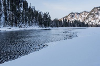Nehir kıyısındaki kar ormanı. Sudaki buz ağaçlarının yansıması.
