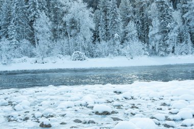 Kış nehrinin yanındaki karanlık kar ormanı. Göl kıyısı buz ve buzla kaplı. Soğuk yüzünden suyun üzerinde hafif buz gibi sis.