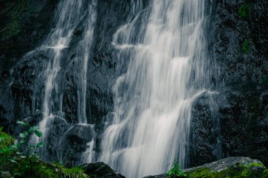 Yağmur ormanlarındaki nehir üzerindeki şelalenin atmosferik görüntüsü. Kayalar ve yeşil yosunlar arasında hızlı akarsu.