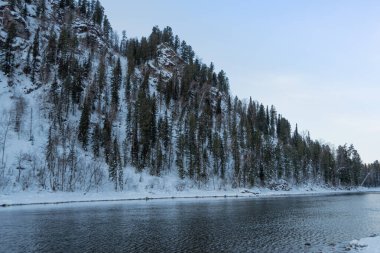 Nehir kıyısındaki kar ormanı. Sudaki buz ağaçlarının yansıması.