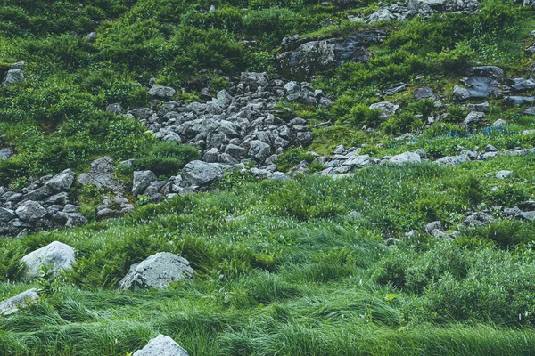 Tepenin Yamaçlarında Kayalar Yeşil Otlar Var — Stok fotoğraf