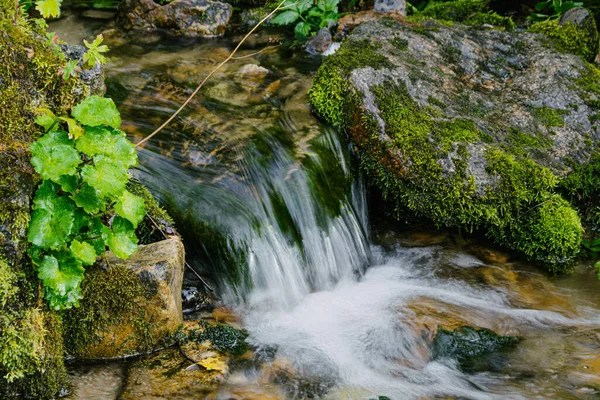 晴れた日に森の中の小さな居心地の良い滝 山の川の岩の上に崖から 水の流れを急いで滝 — ストック写真